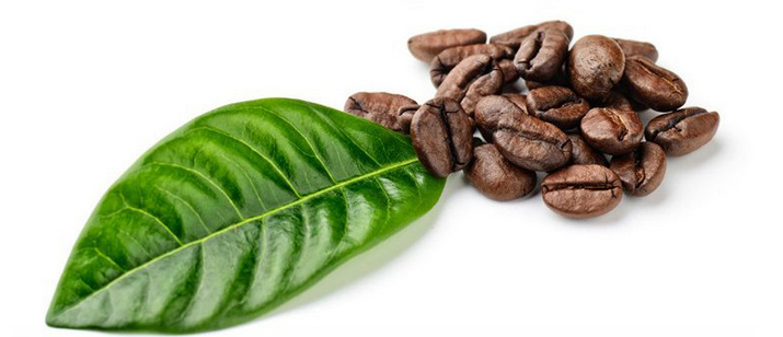摩卡咖啡豆进口生豆新鲜烘焙可现磨 454g 圣朵斯图片四