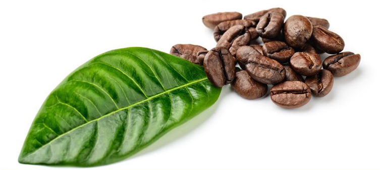 综合咖啡豆 进口生豆新鲜烘焙可现磨粉 圣朵斯精选图片五