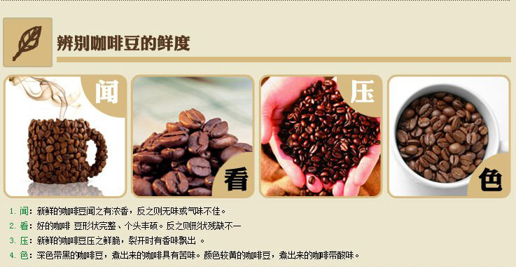 曼特宁咖啡豆进口生豆新鲜烘焙可现磨粉454g圣朵斯图片五